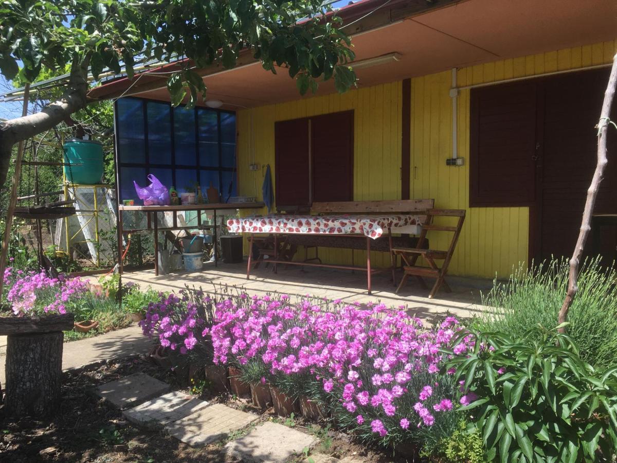Бунгало- Bungalow Kavarna ภายนอก รูปภาพ